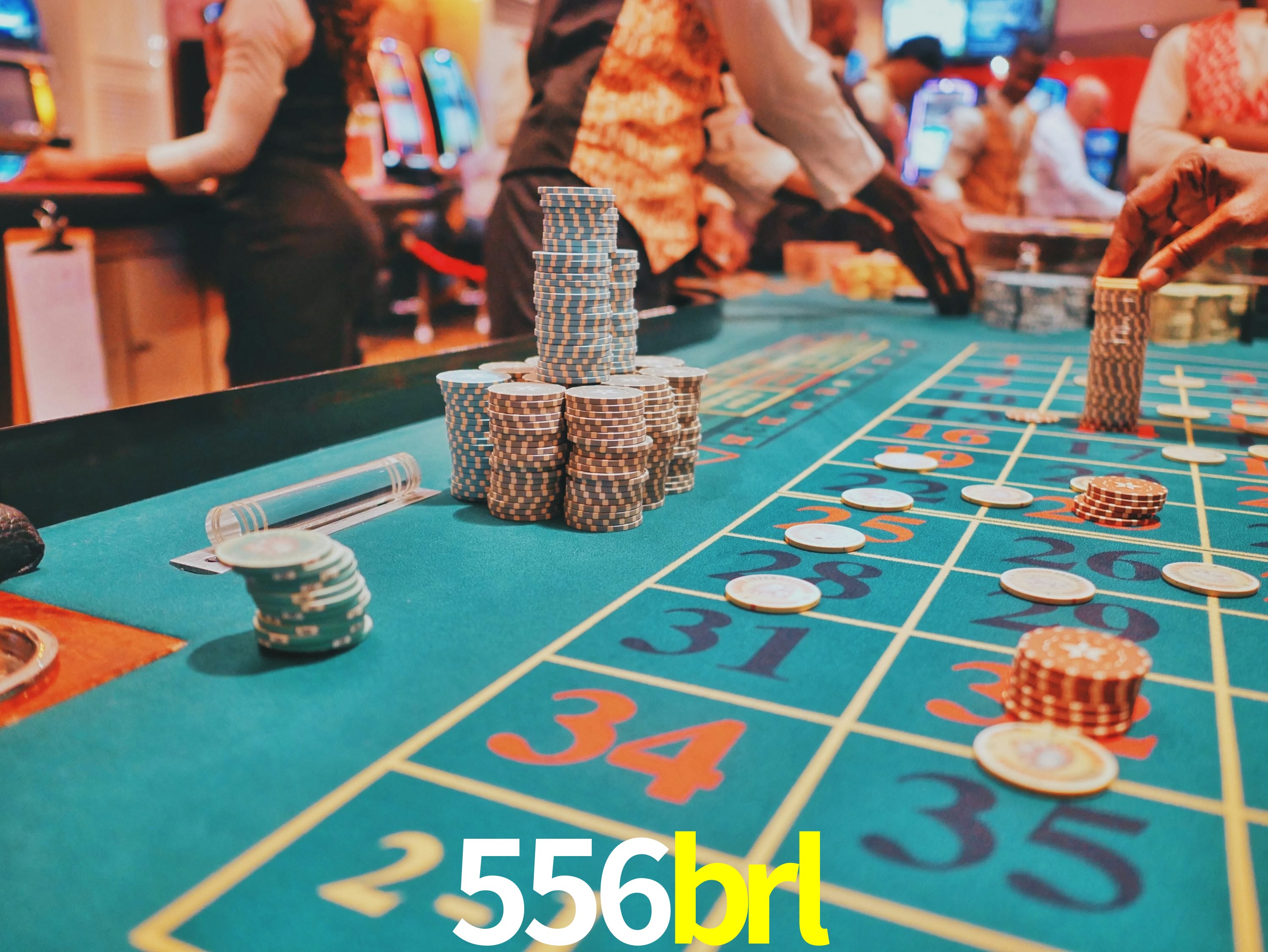 Sports Statistics 556brl